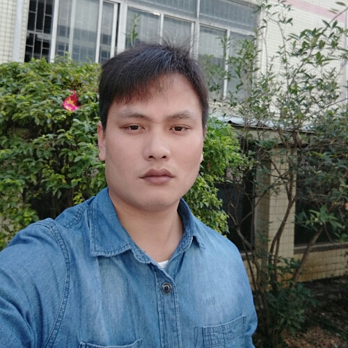 灿烂的阳光*的照片