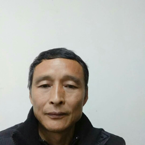 零碎蹙眉小蜜蜂的照片