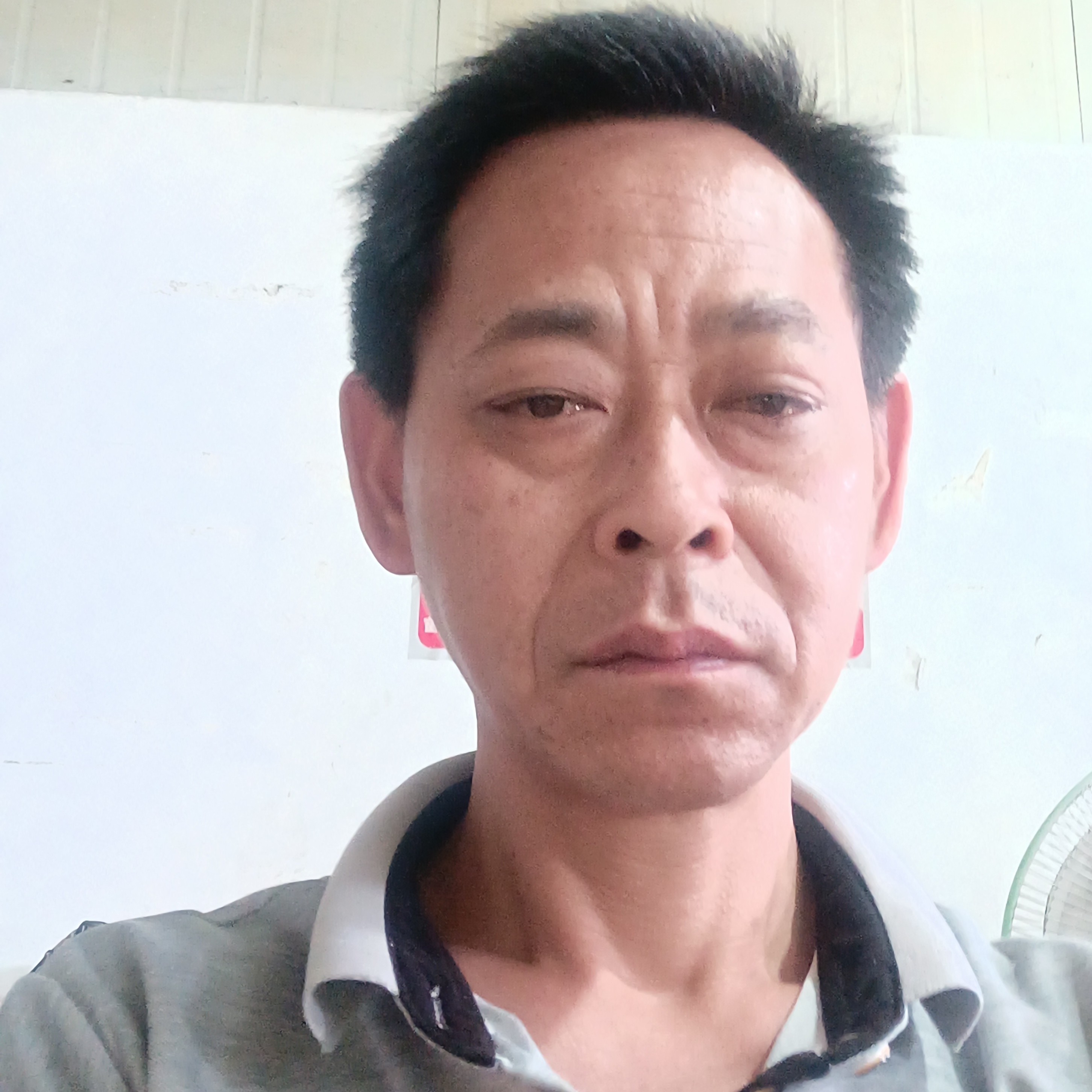 帅哥强健的照片