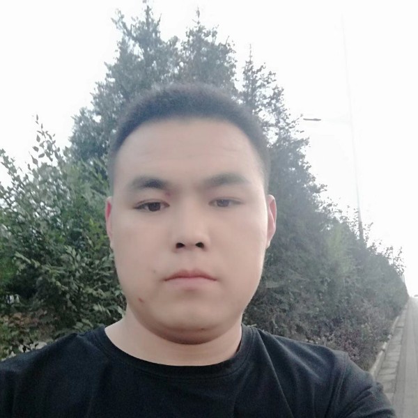 殷勤漫步战斗机的照片