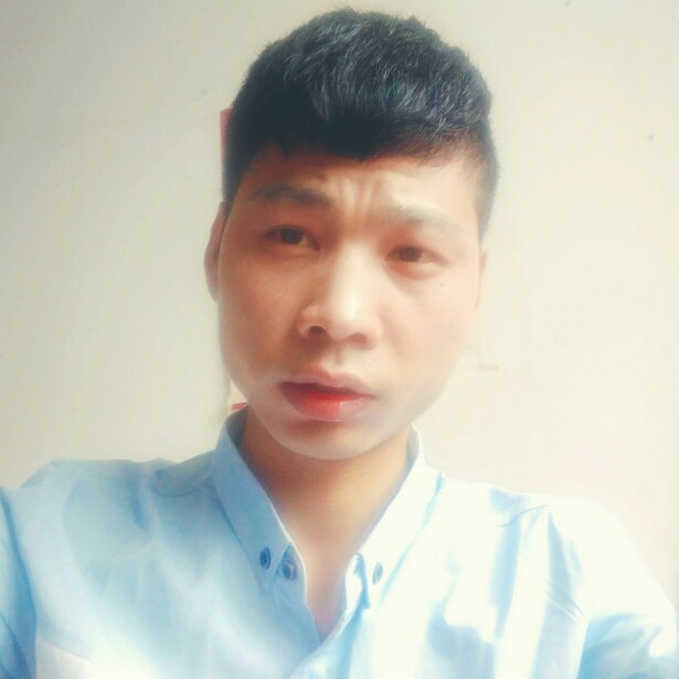 飞翔的骏马的照片