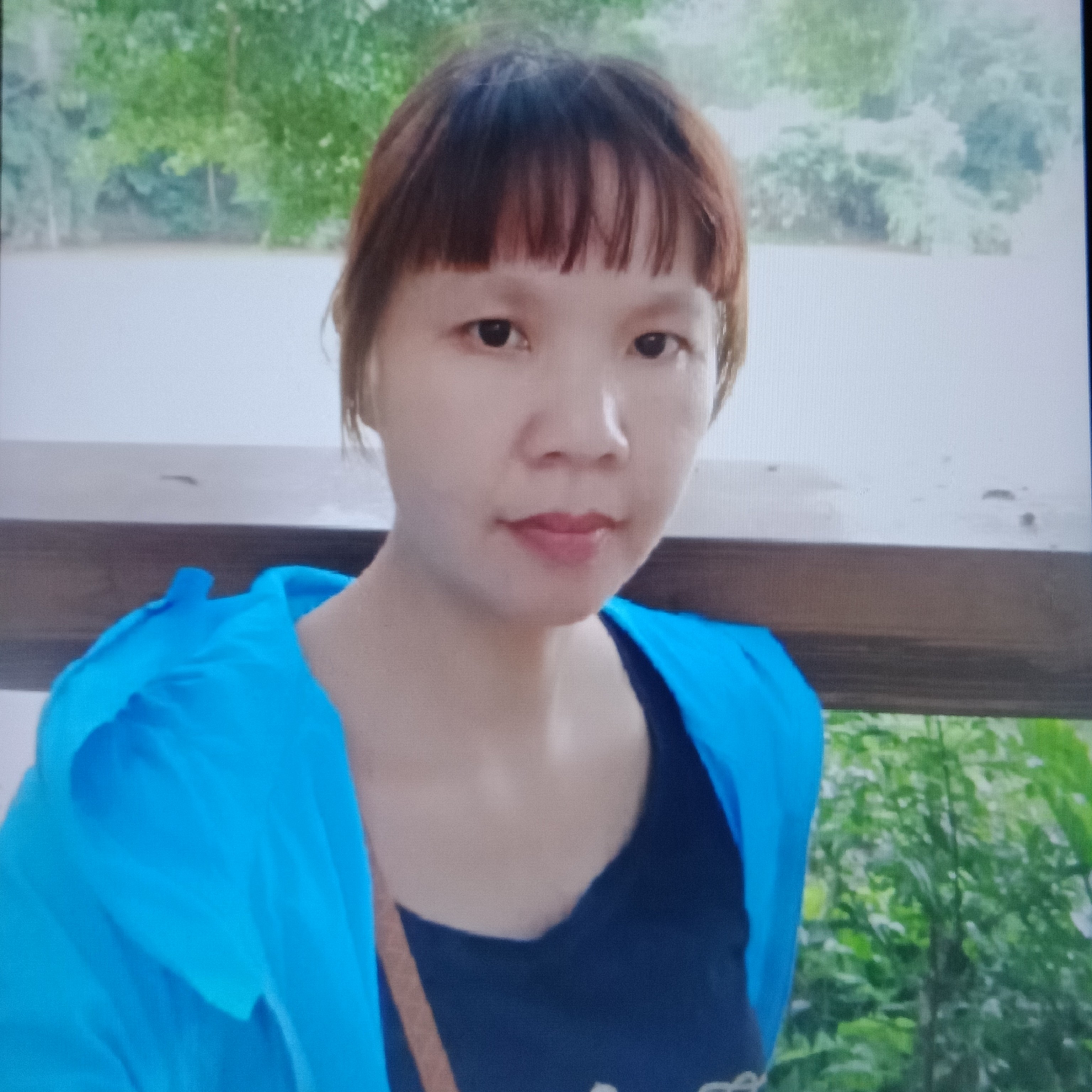 木独不成林的照片