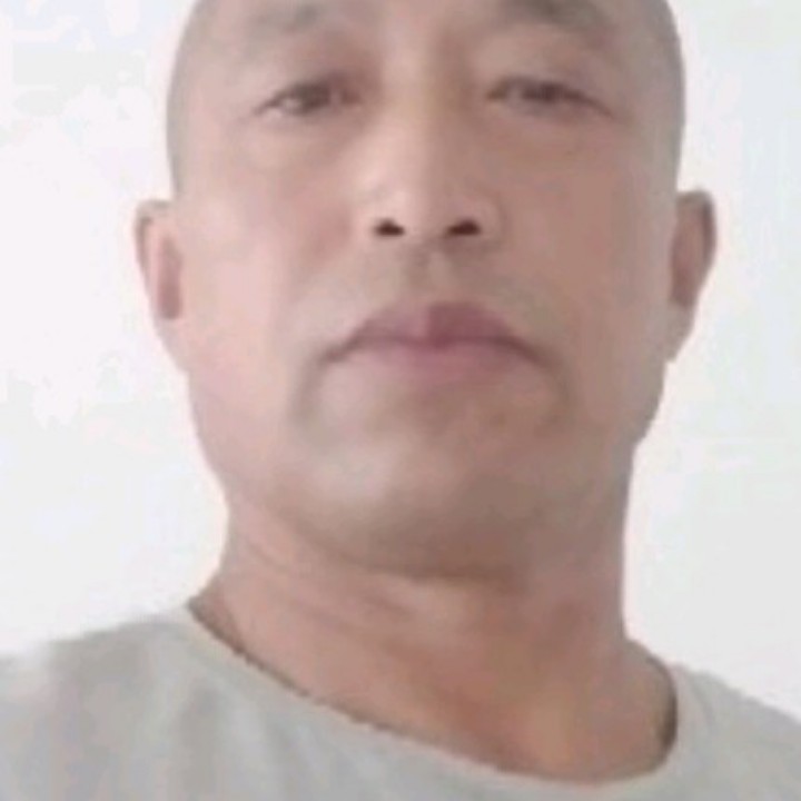含羞草遇見安详的照片