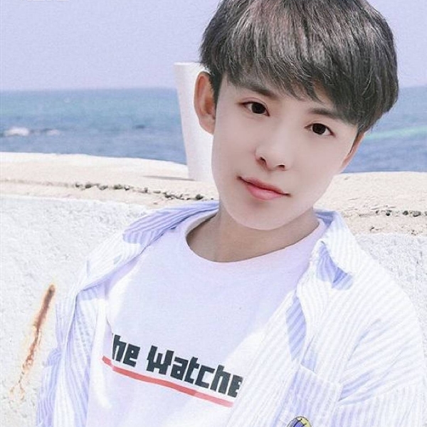 温柔钻石12的照片