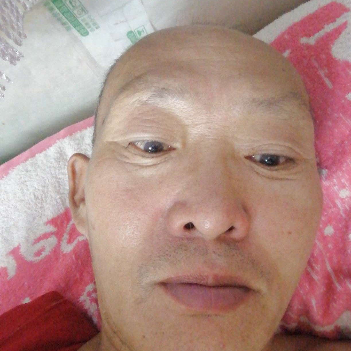 搞怪改变森槿的照片