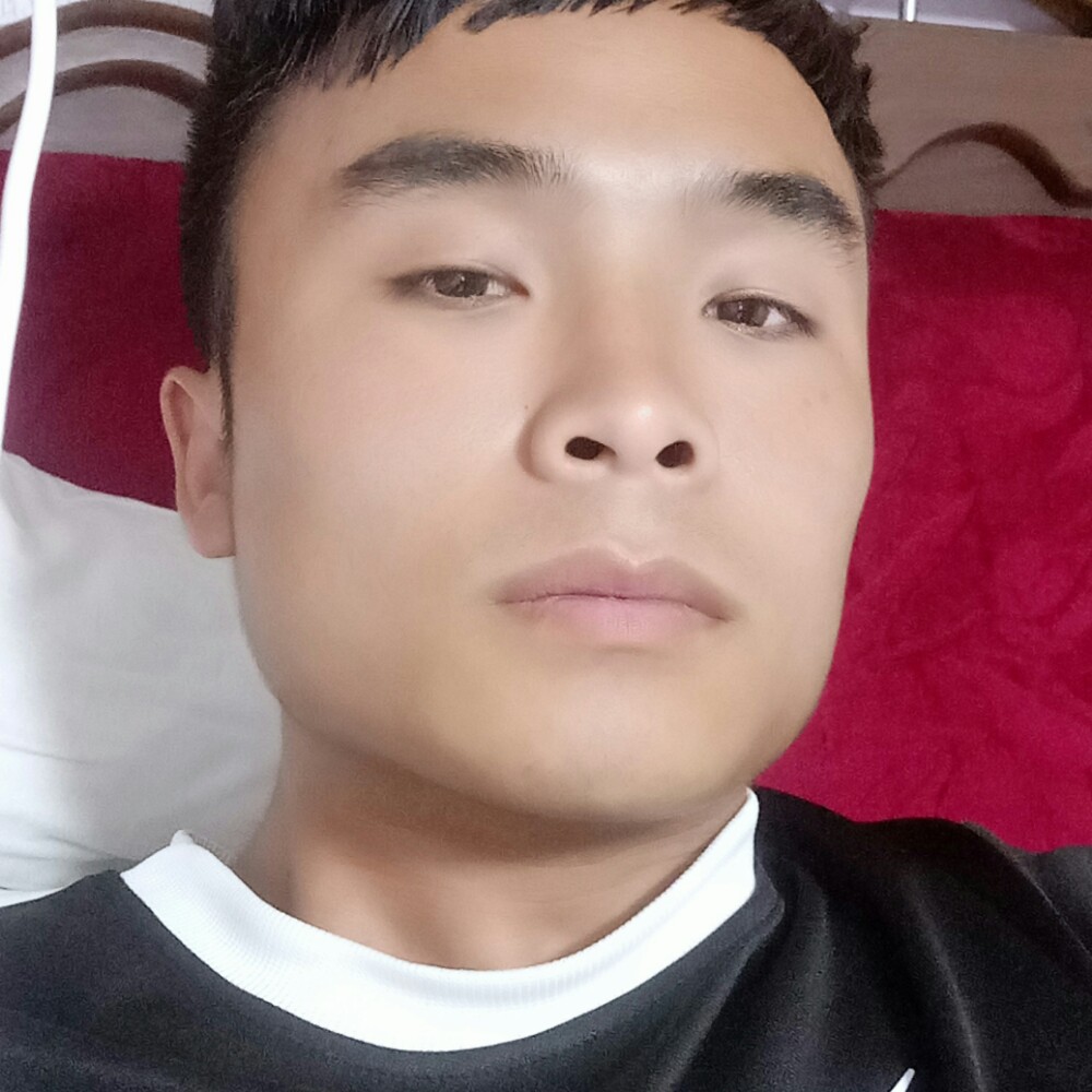 贤惠刺猬的照片