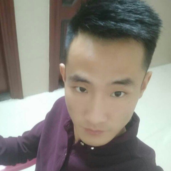 蚂蚁长情的照片