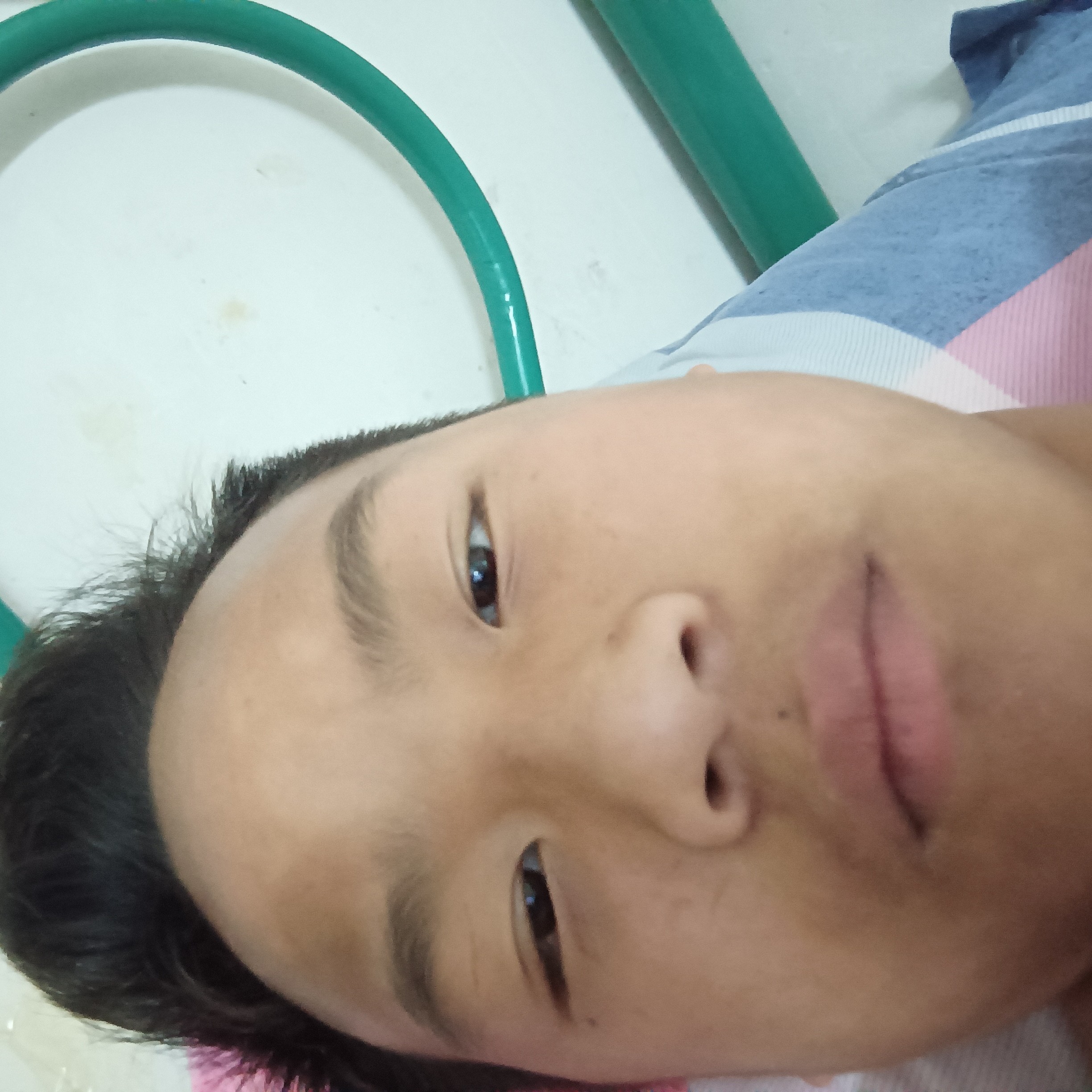 胡萝卜踢彼年的照片