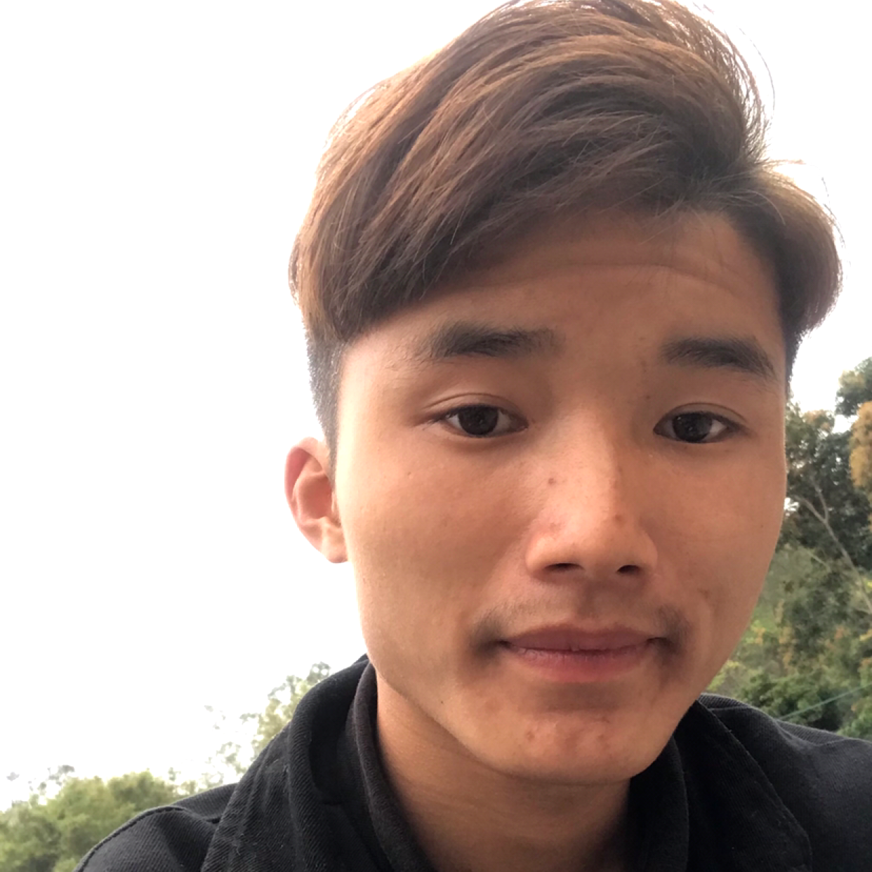 纯情的故事的照片