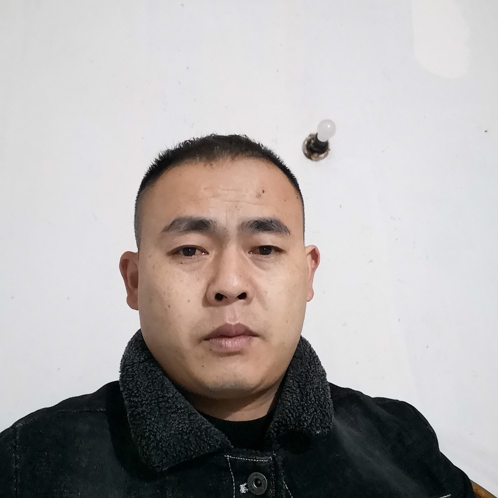 羽毛漫步苹果的照片