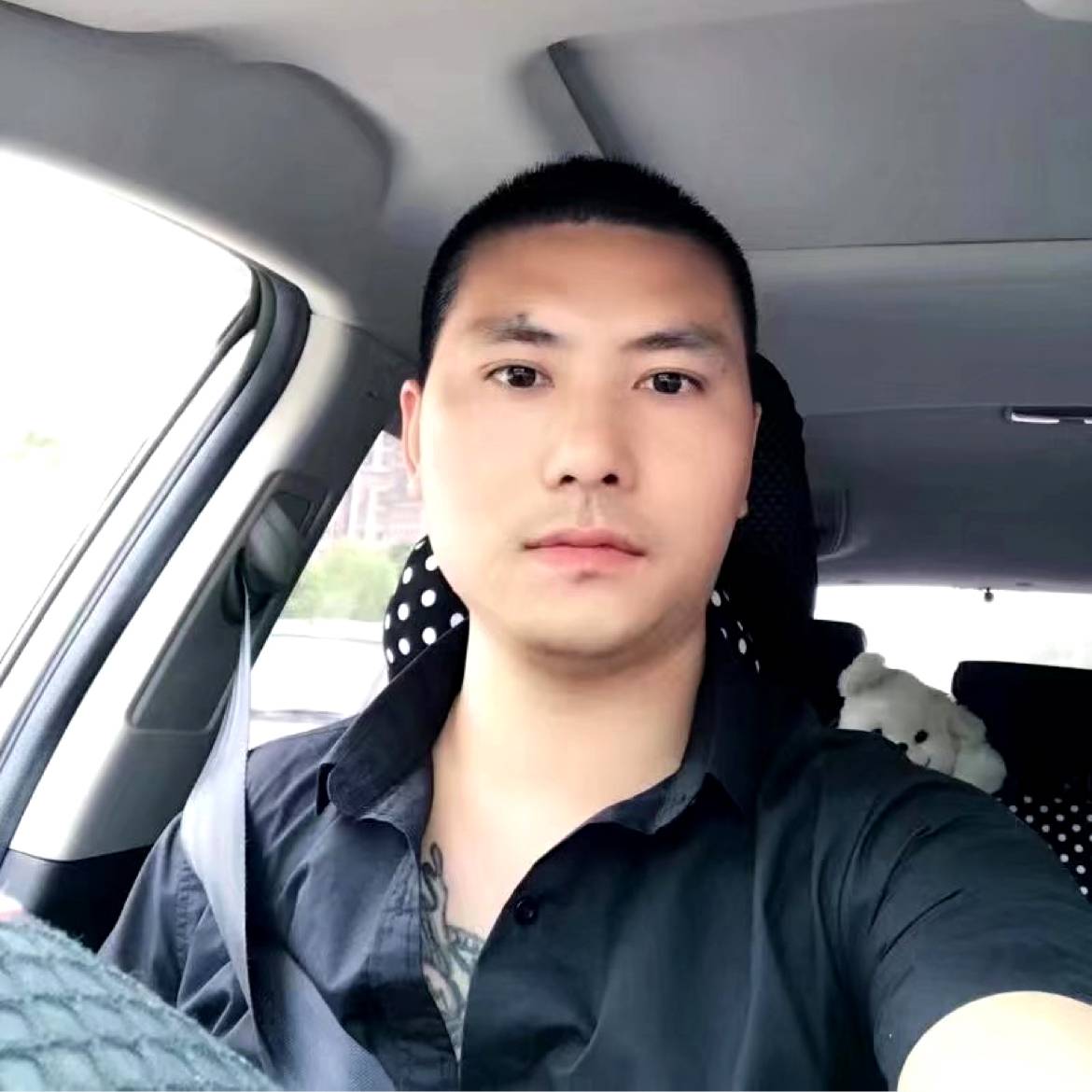 一颗小毛豆的照片