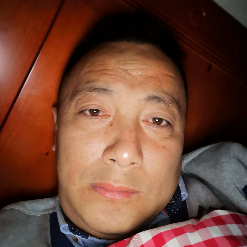 123向日葵的照片