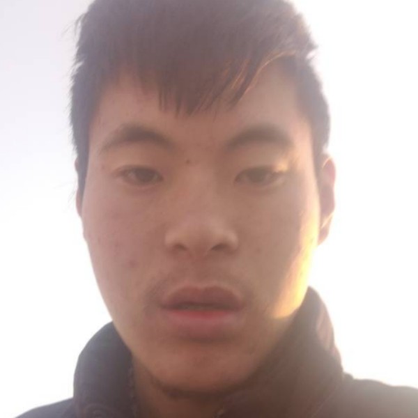 迷路发夹的照片