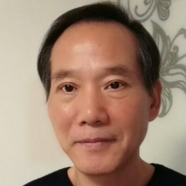 悦耳向日葵的照片