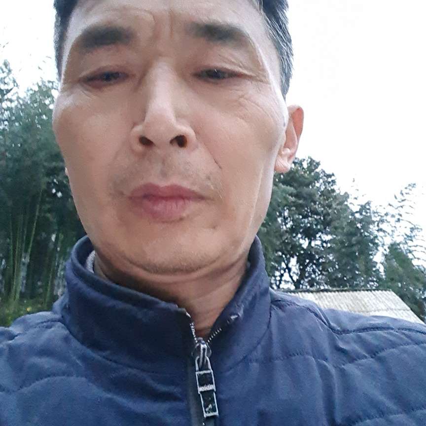 大雁深拥忧虑的照片