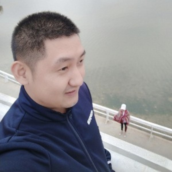 企鹅在飞的照片
