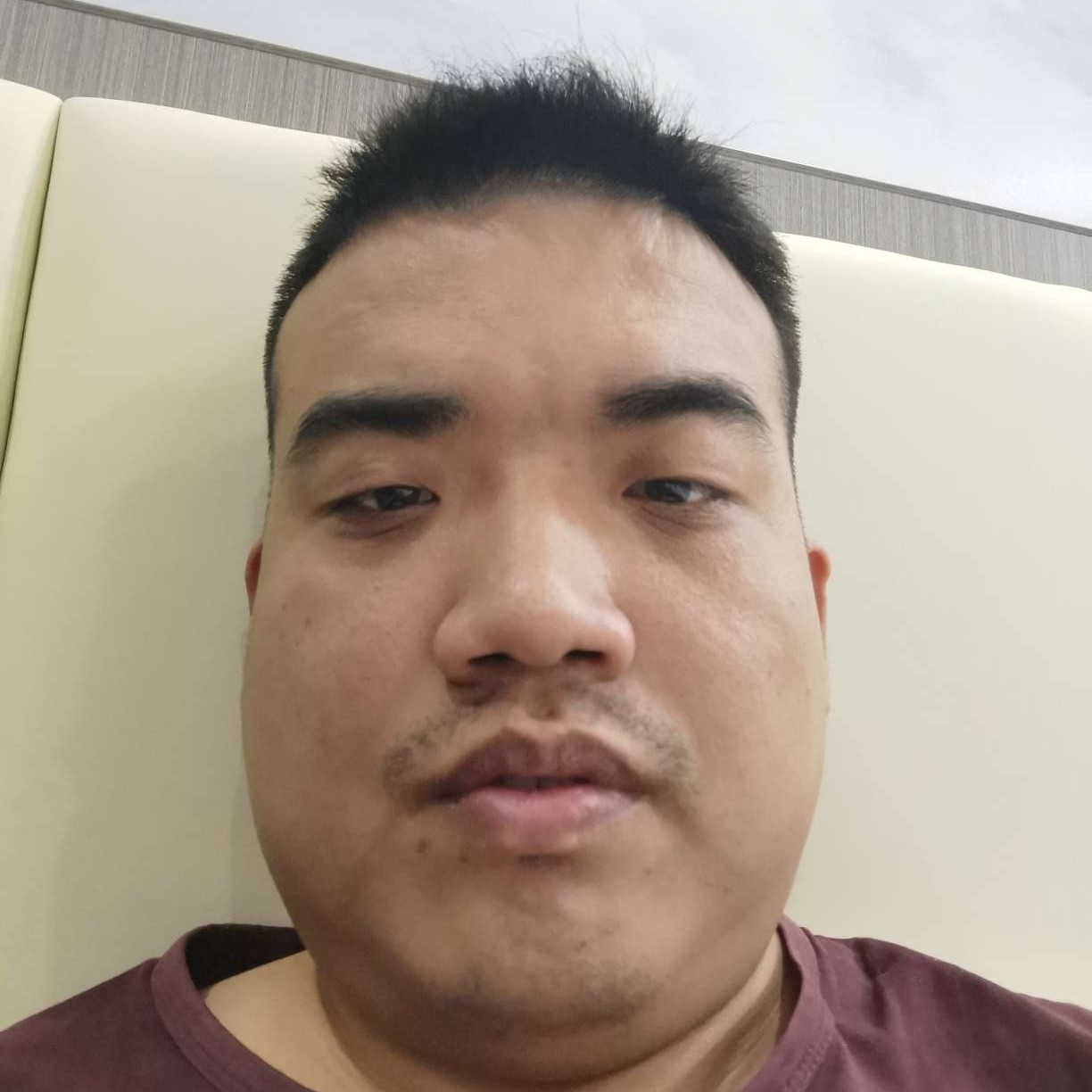 随风奔跑自由的照片