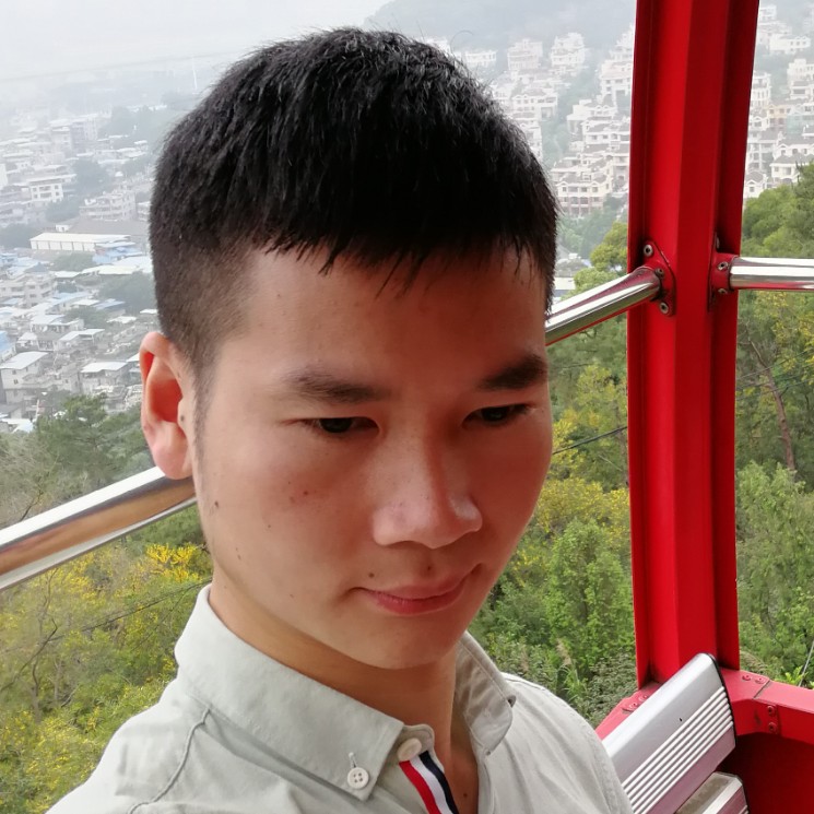 秋天的枫叶1的照片