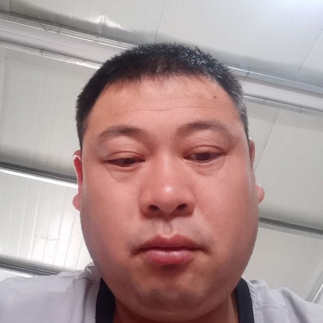 闪闪踢热狗的照片