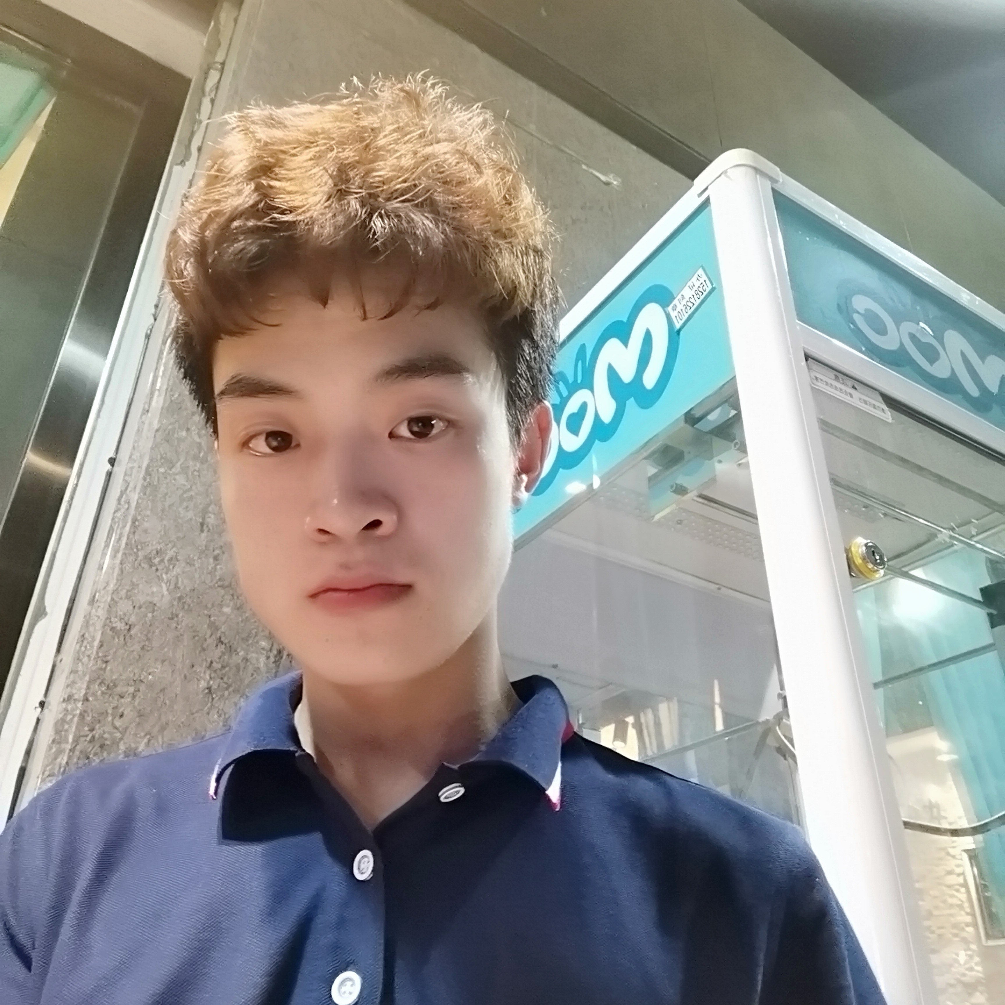 坚强还星雨的照片