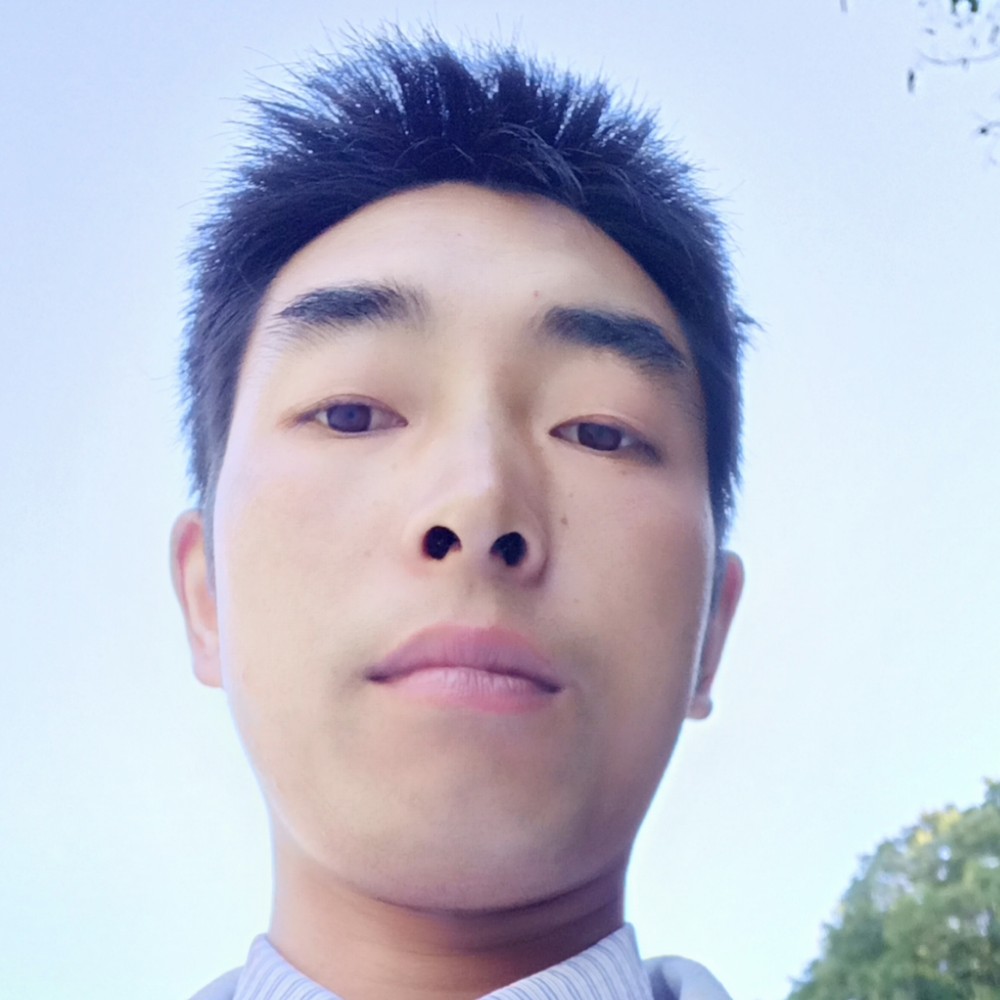早晨的大气的照片
