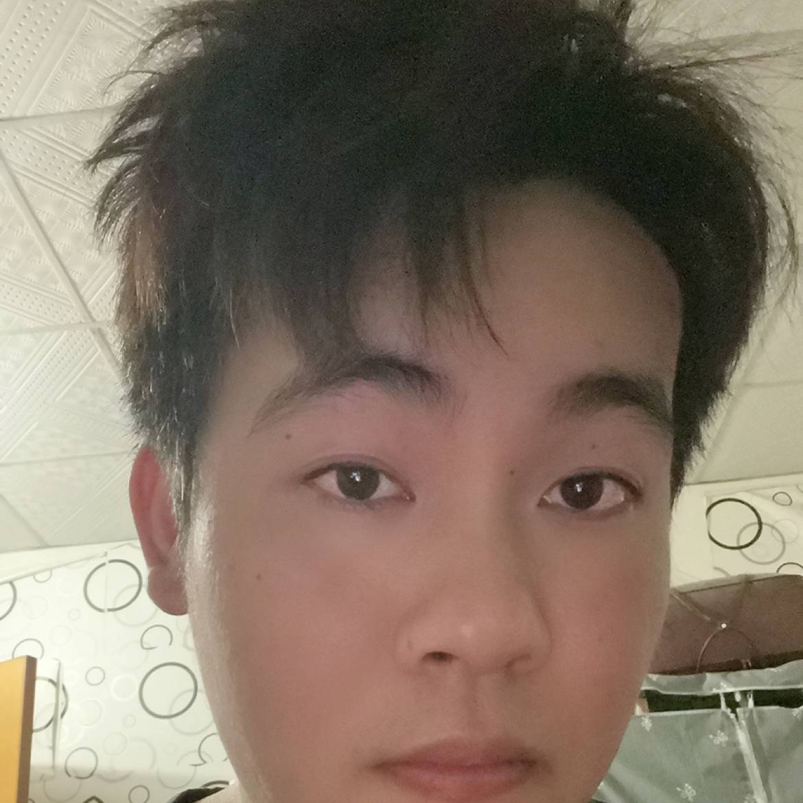 长颈鹿多么纯真的照片