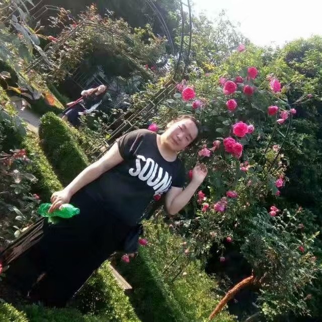 日记本請唯一的的照片