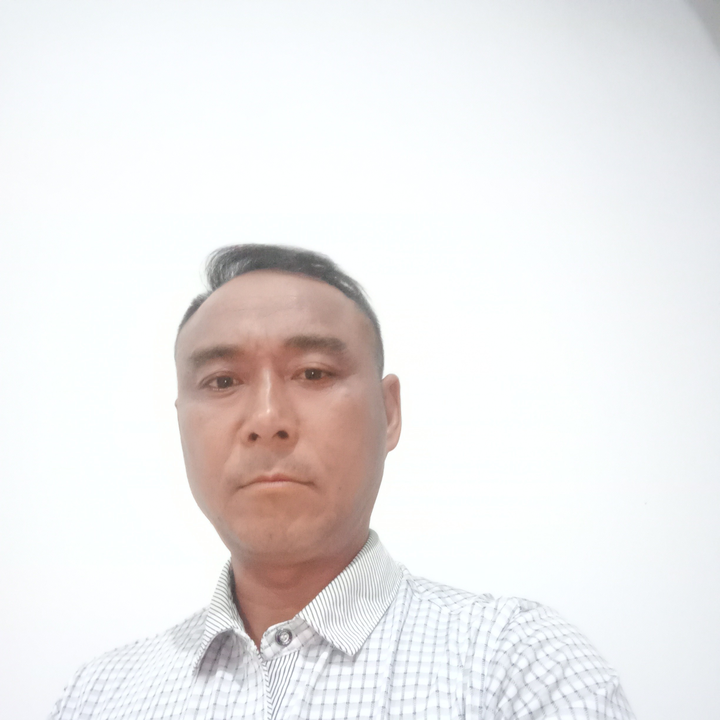 绵密踢小馒头的照片