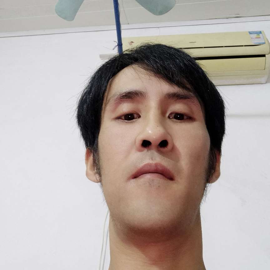 迷离請飞鸟的照片