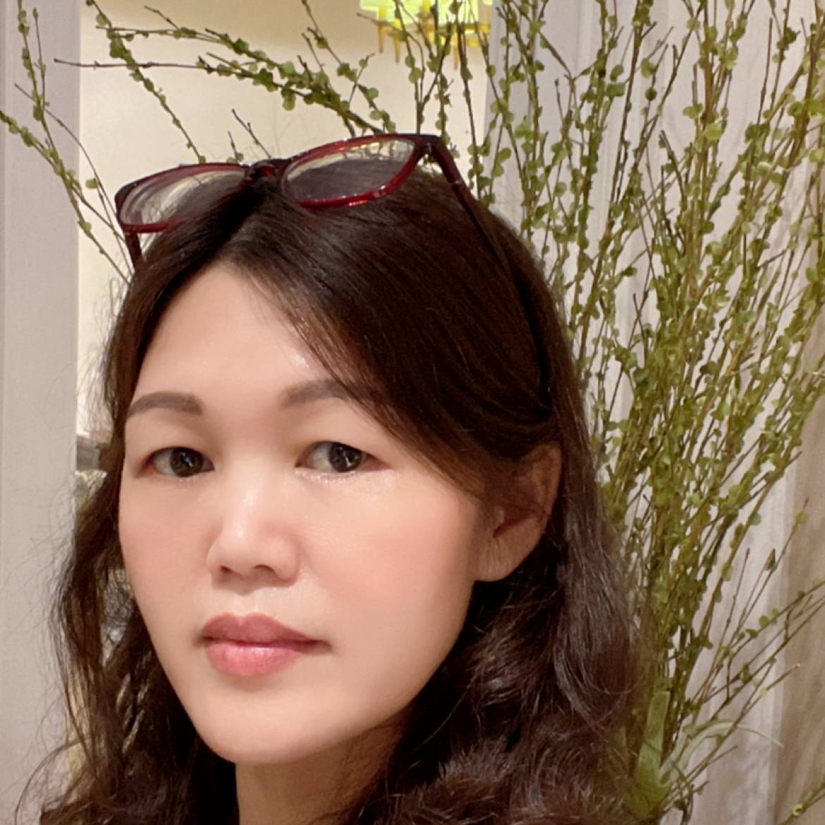 小飞罗的照片