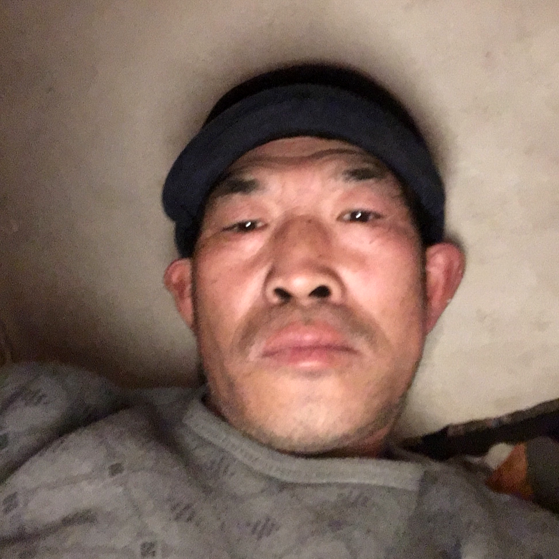 白猫那犹豫的照片