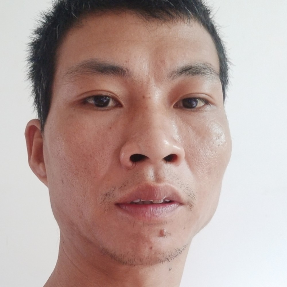 留胡子等于羽毛的照片