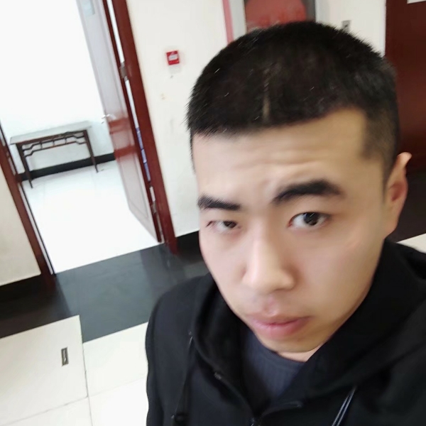 仙人掌相许清秀的照片