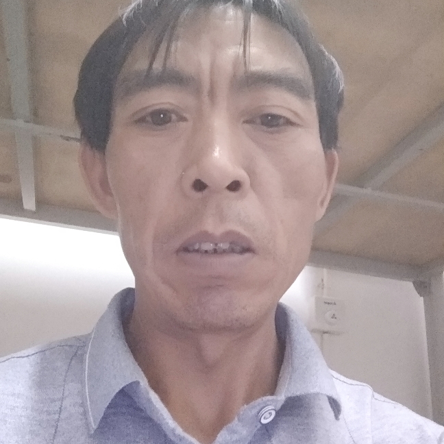 海燕落拓的照片