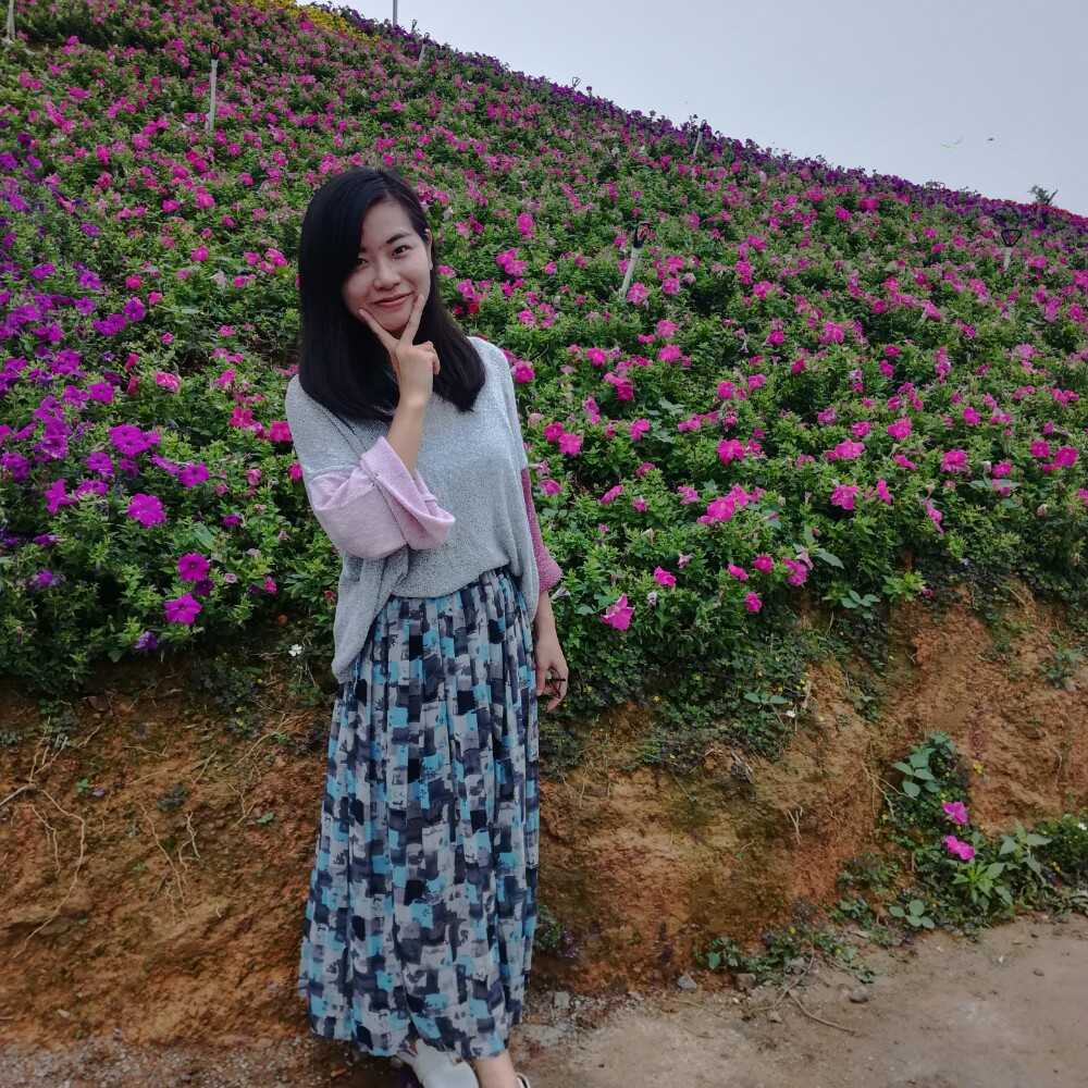 俊秀小海豚的照片
