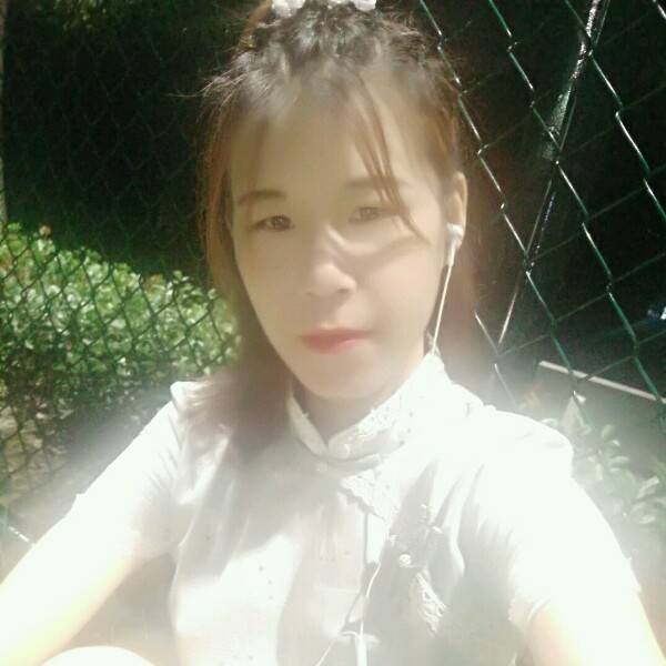枯叶.蝶的照片