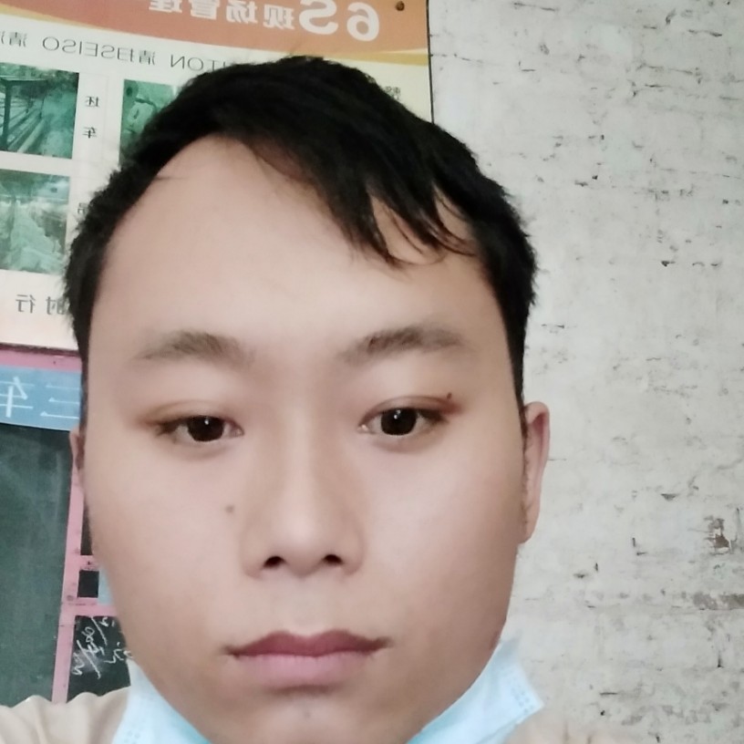 白猫就纯真的照片