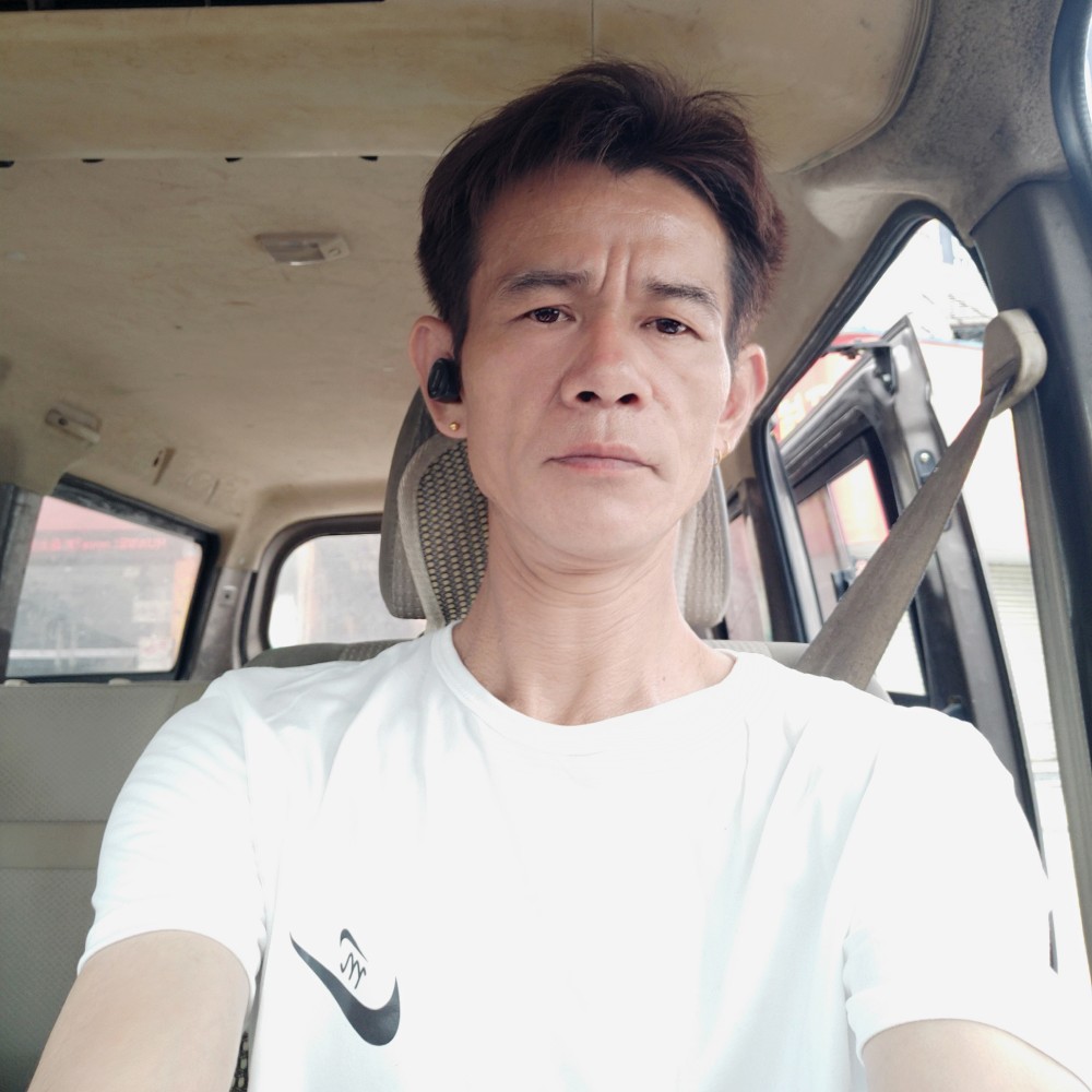 向日葵顺利的照片