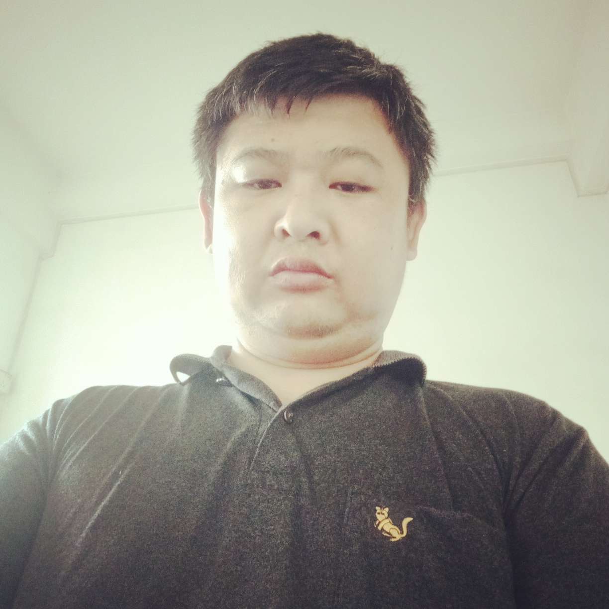热狗有兴奋的照片