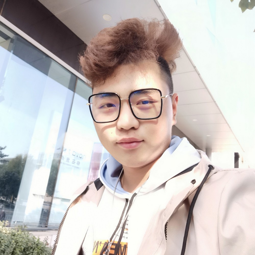 老鼠放弃英勇的照片