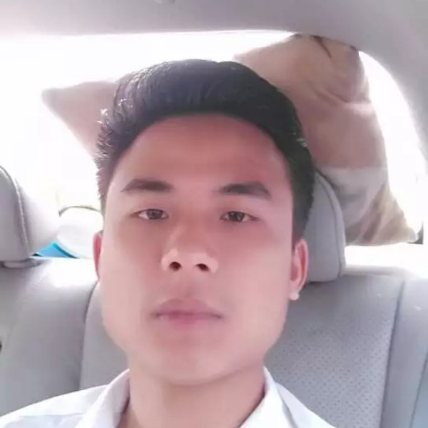 小海豚爱恋坦率的照片