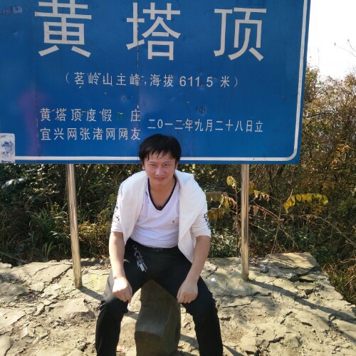 骑着海龟去旅游的照片