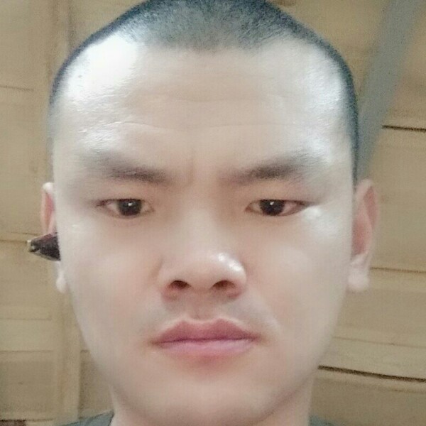 人生一棵的照片