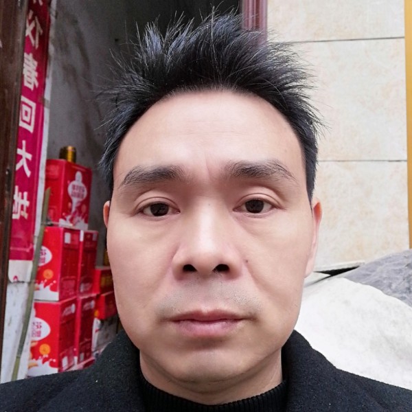 晨阳漫步从容的照片