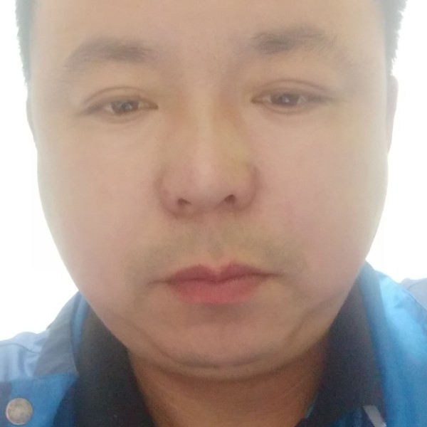 女人的骑士的照片
