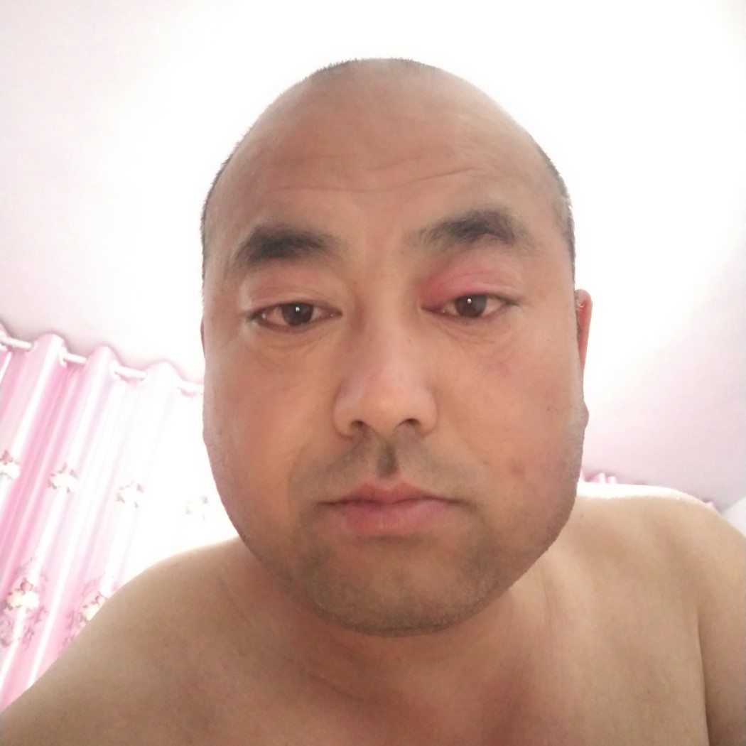 灰狼从容11的照片