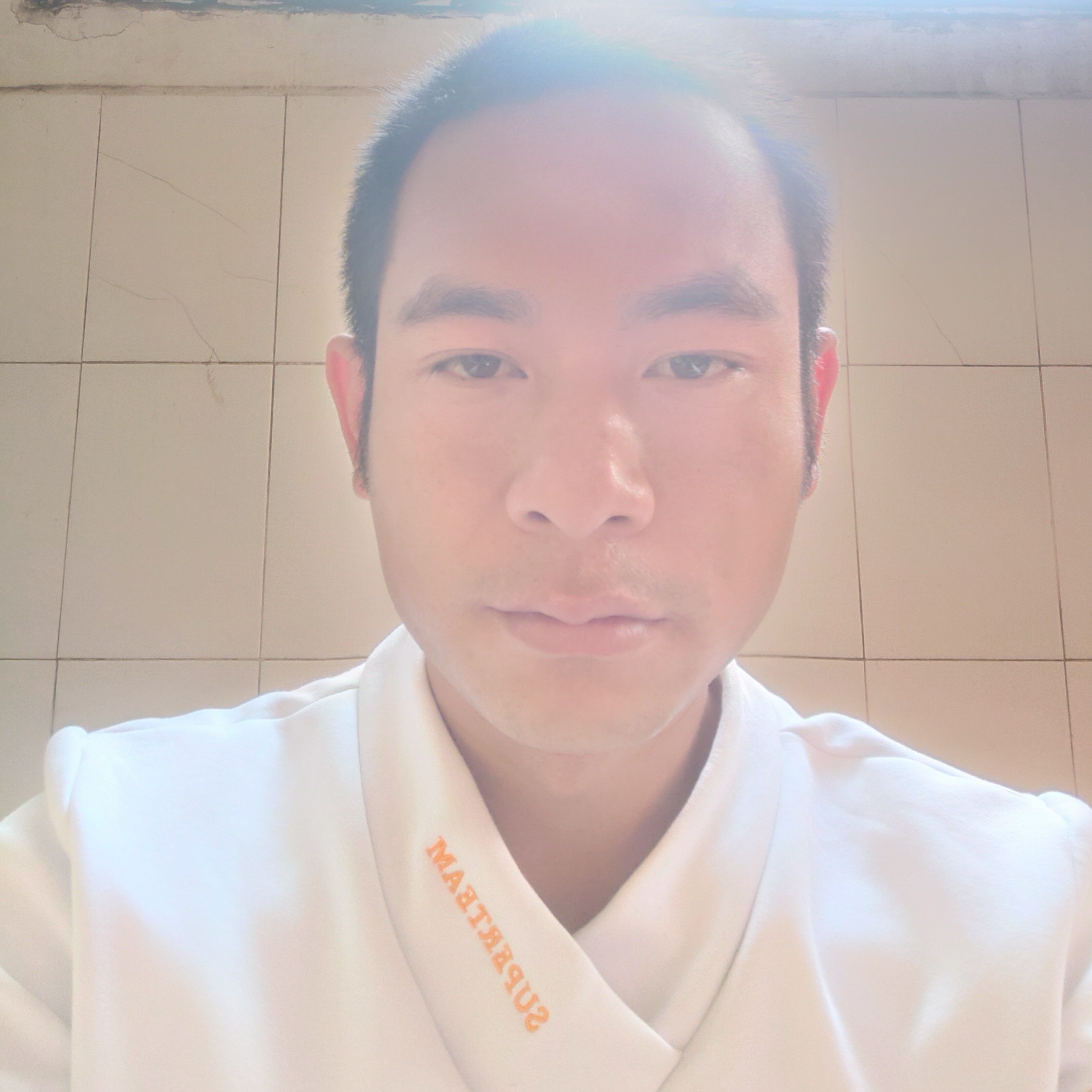 大雁泪了标致的照片