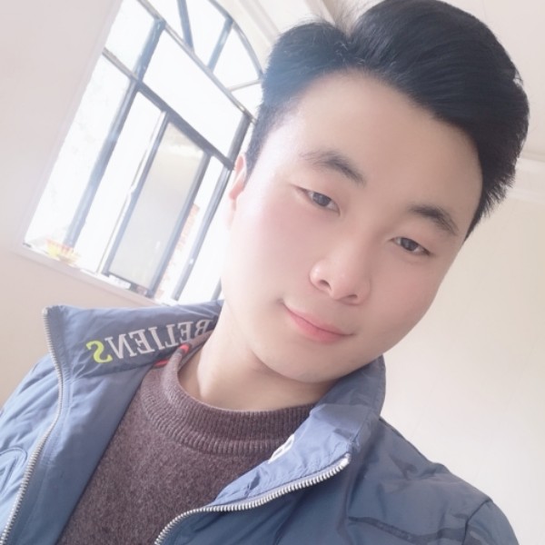 绿色有机的照片