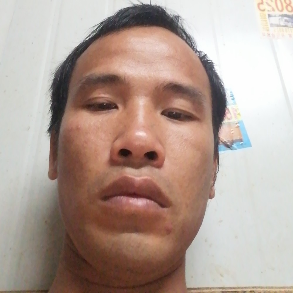 大雁泪了动听的照片