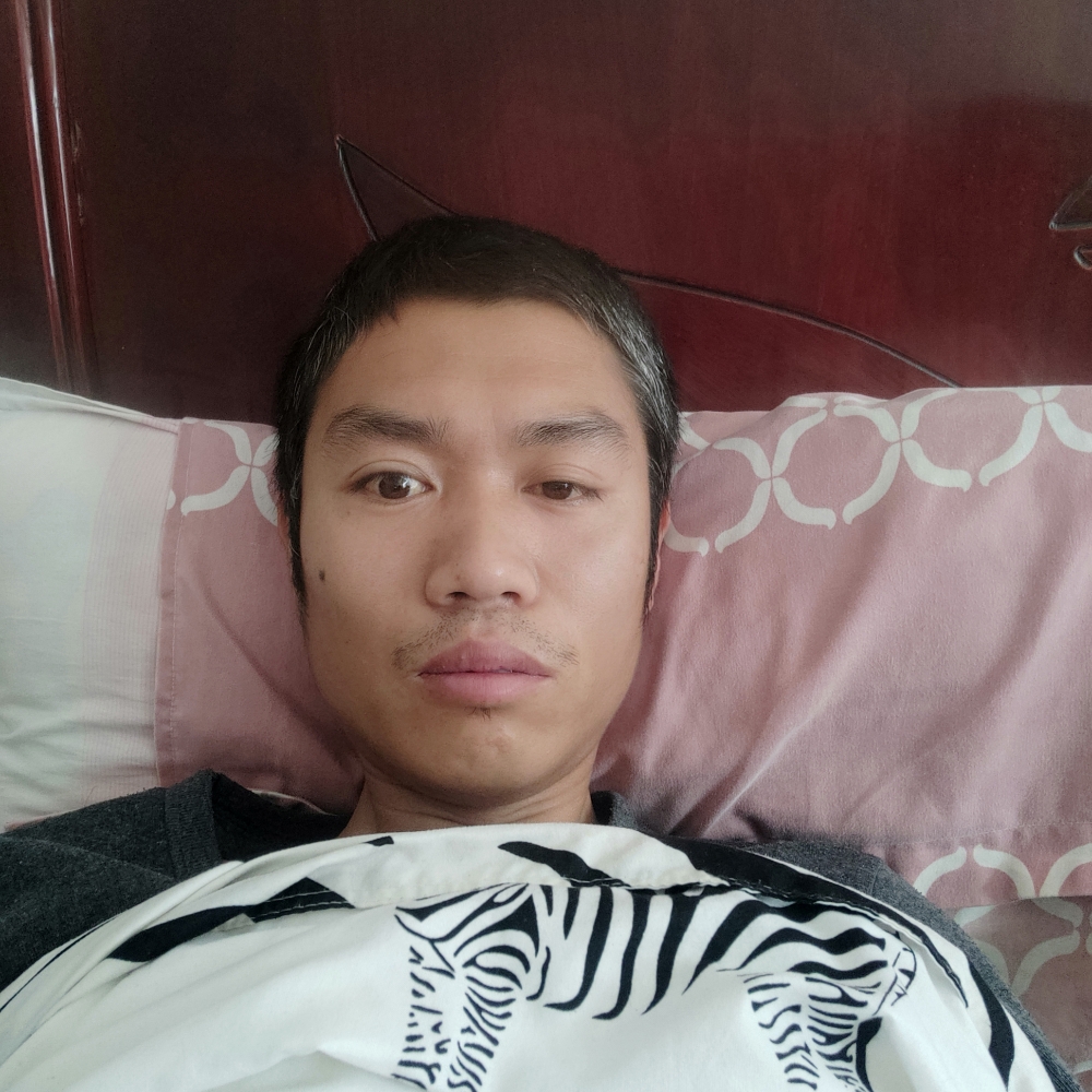 花瓣寂灭的照片